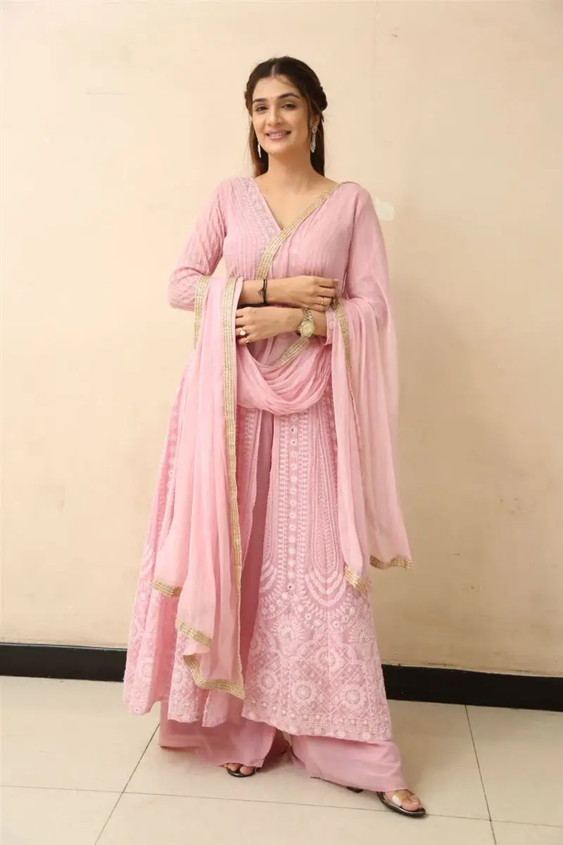 Telugu Actress Hasini Sudhir In Beautiful Pink Gown